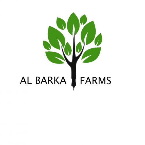 Al Barka logo